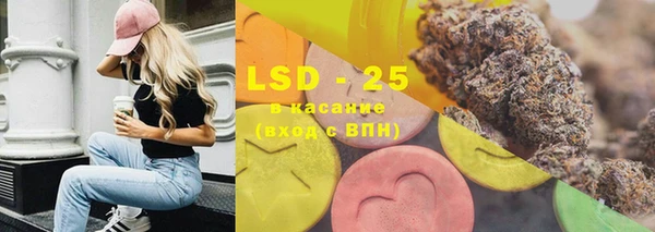 ECSTASY Алзамай