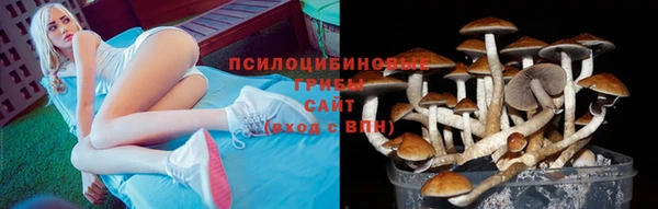 кристаллы Дмитриев