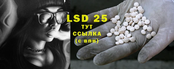 ECSTASY Алзамай
