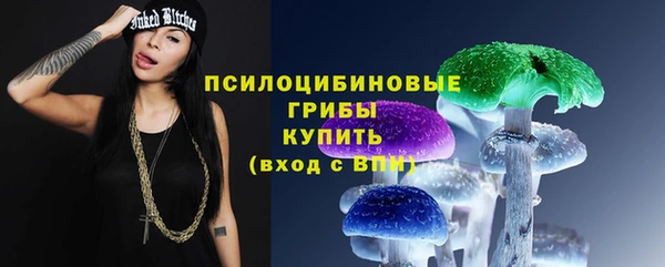 не бодяженный Алексин