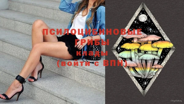 крисы Дмитров