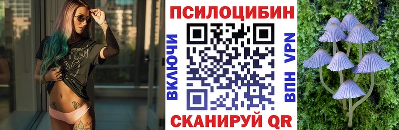 Псилоцибиновые грибы Psilocybe  мега онион  Майкоп 