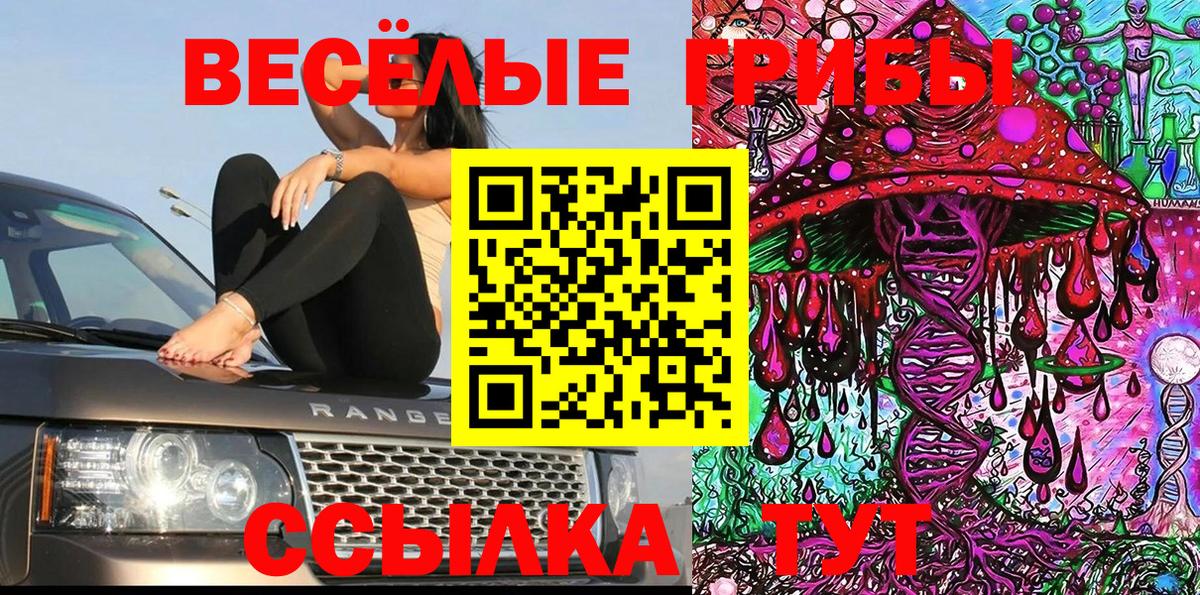 Псилоцибиновые грибы GOLDEN TEACHER Майкоп