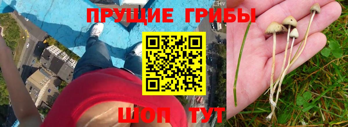 Амфетамин Майкоп