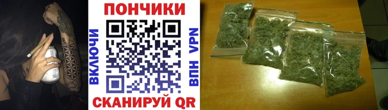 Бошки марихуана Amnesia  площадка официальный сайт  Майкоп 